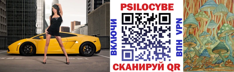 kraken как войти  Серов  Псилоцибиновые грибы Magic Shrooms  купить закладку 