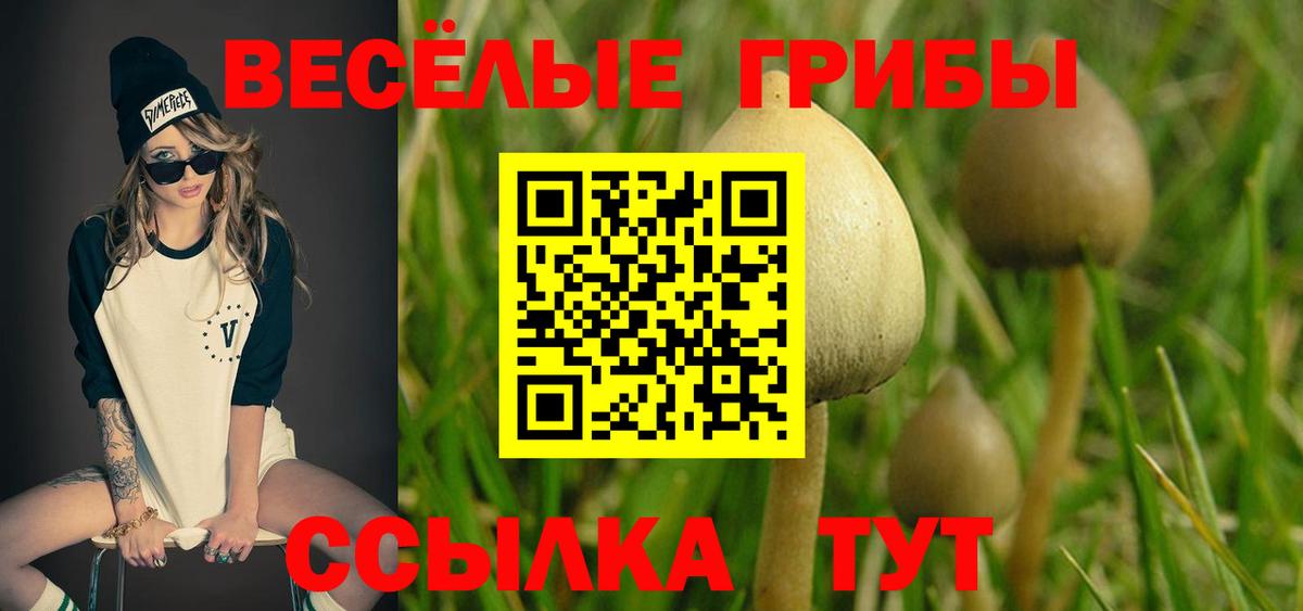 ГАШИШ  А ПВП СОЛЬ кристаллы  Меф кристаллы  Серов  Конопля  Вход с VPN  КОКАИН  Кокаин 
