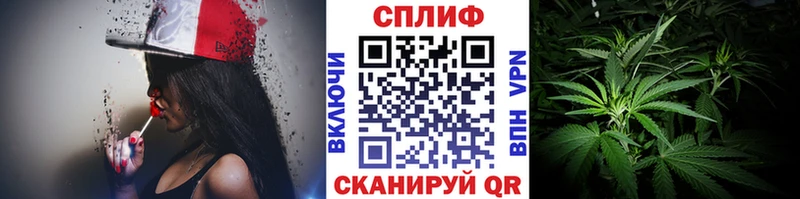 Марихуана сатива  закладка  Серов 